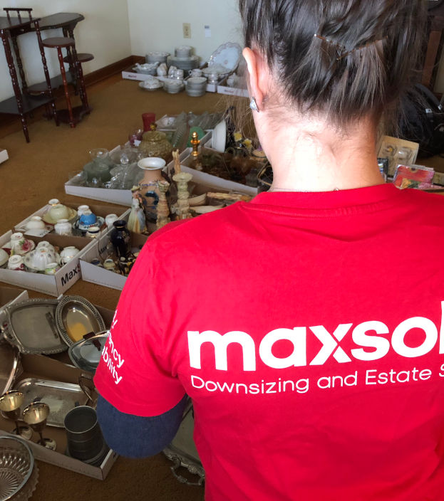 MaxSold cataloging items