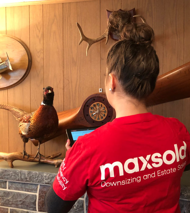 MaxSold cataloging propeller clock