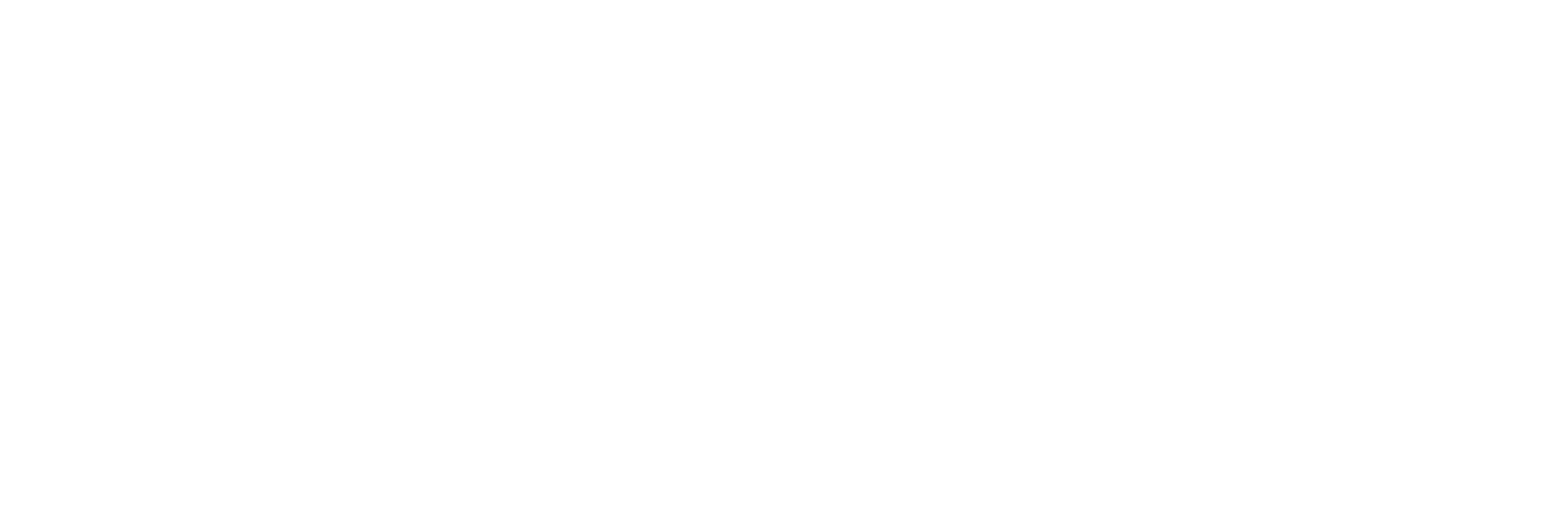 MAXSOLD